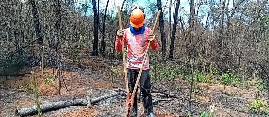 Colaborador da GATT abrindo cova para plantio em área de compensação