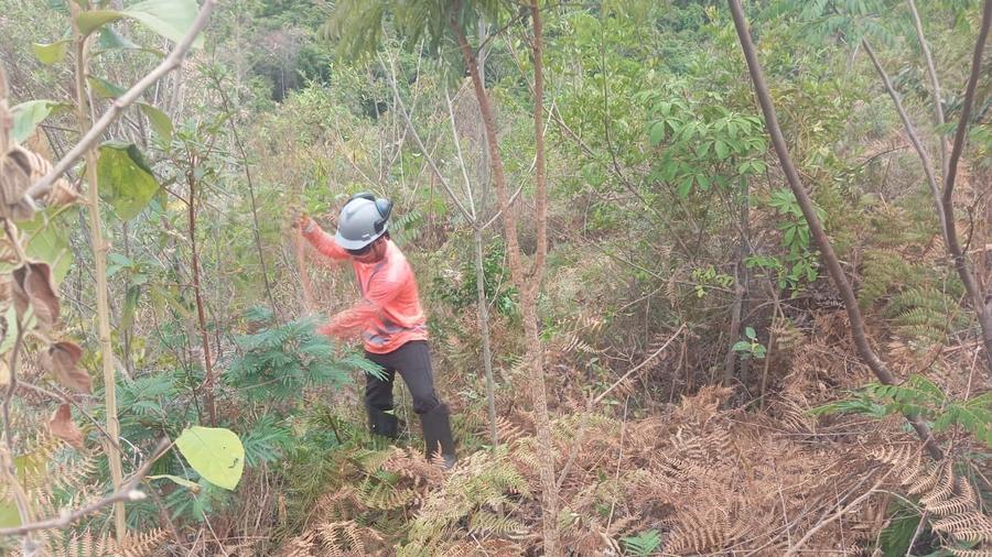 Colaborador da GATT em manutenção de área de compensação